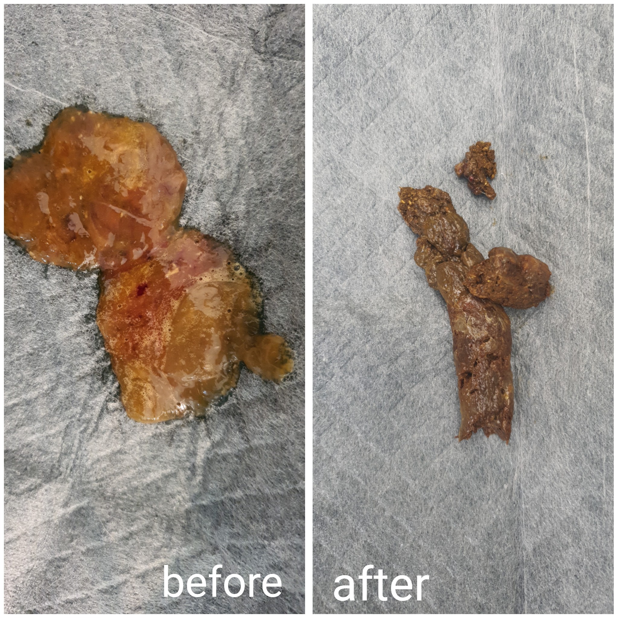 JOOF Transformation 4
