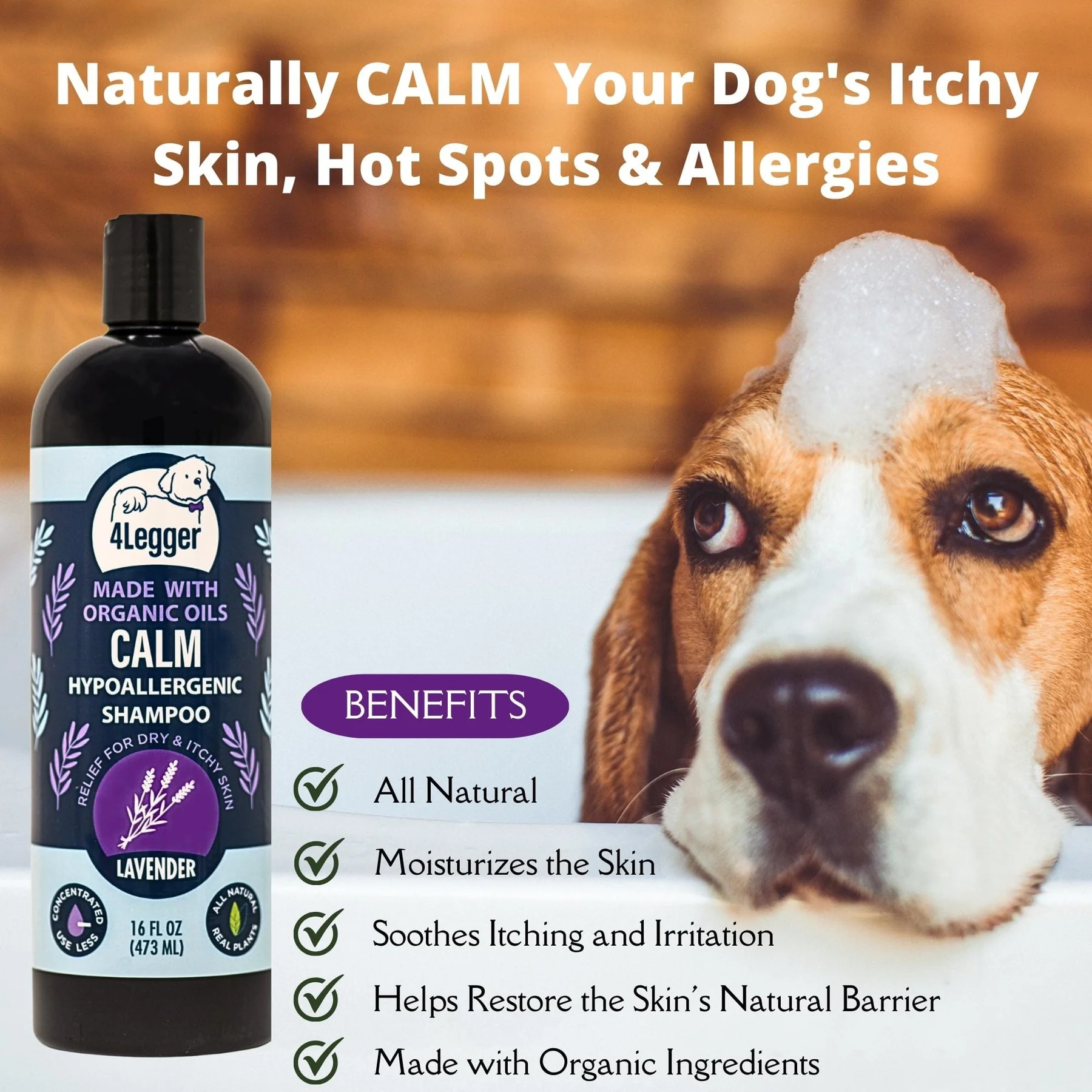 4Legger Calm, Lavender Soothing Hypoallergenic USDA Certified Organic Shampoo (8oz) | Itchy Skin, Rash, Hotspot Shampoo for Dogs and Cats