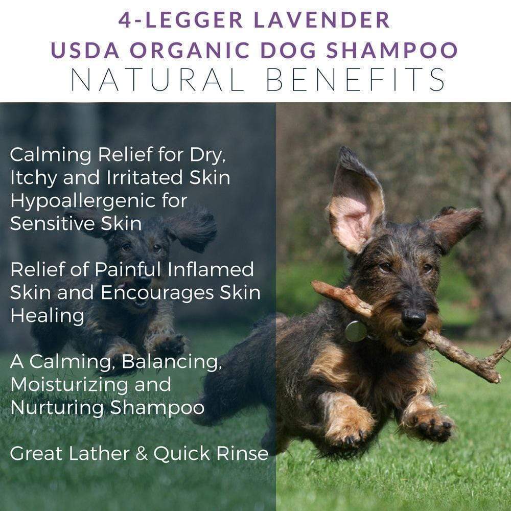 4Legger Calm, Lavender Soothing Hypoallergenic USDA Certified Organic Shampoo (8oz) | Itchy Skin, Rash, Hotspot Shampoo for Dogs and Cats