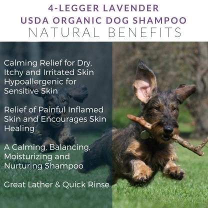 4Legger Calm, Lavender Soothing Hypoallergenic USDA Certified Organic Shampoo (8oz) | Itchy Skin, Rash, Hotspot Shampoo for Dogs and Cats