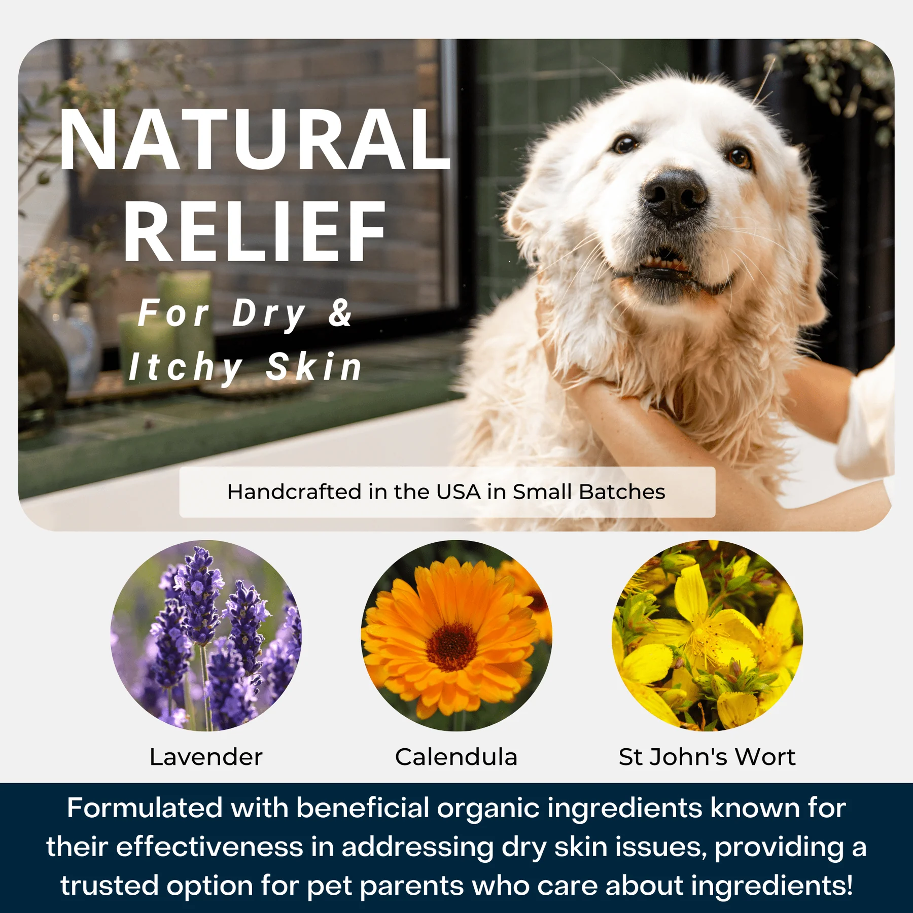 4Legger Calm, Lavender Soothing Hypoallergenic USDA Certified Organic Shampoo (8oz) | Itchy Skin, Rash, Hotspot Shampoo for Dogs and Cats