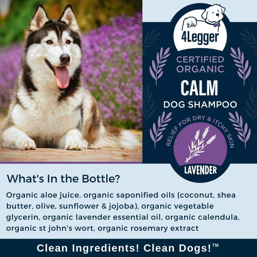 4Legger Calm, Lavender Soothing Hypoallergenic USDA Certified Organic Shampoo (8oz) | Itchy Skin, Rash, Hotspot Shampoo for Dogs and Cats