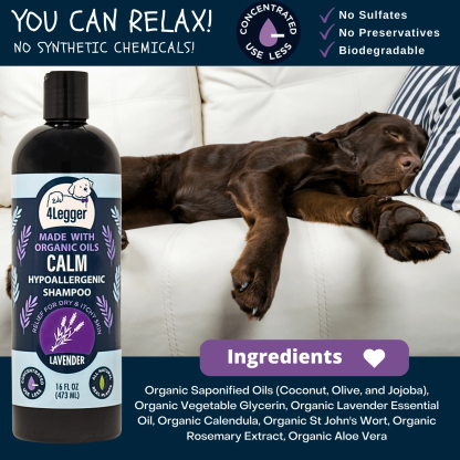 4Legger Calm, Lavender Soothing Hypoallergenic USDA Certified Organic Shampoo (8oz) | Itchy Skin, Rash, Hotspot Shampoo for Dogs and Cats