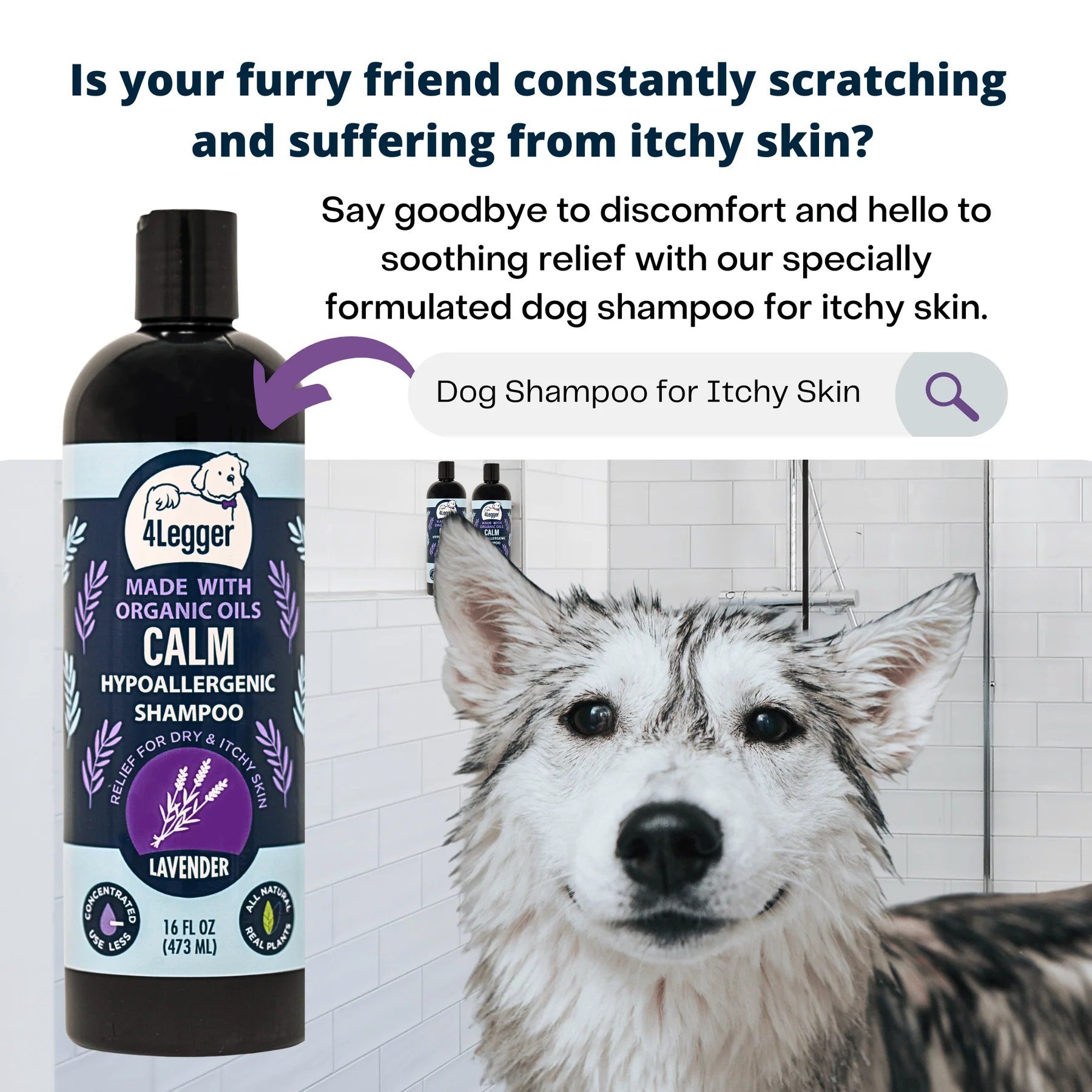 4Legger Calm, Lavender Soothing Hypoallergenic USDA Certified Organic Shampoo (8oz) | Itchy Skin, Rash, Hotspot Shampoo for Dogs and Cats