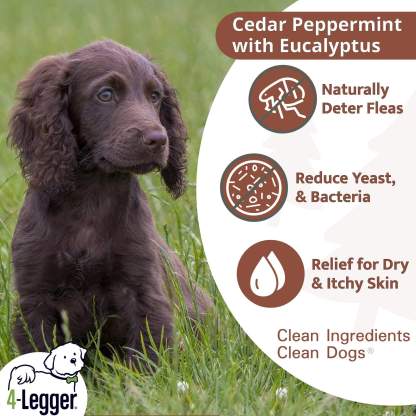 4Legger Cedar, Peppermint Organic Food Standard Shampoo (16oz) | Normal Healthy Skin & Coat Shampoo for Dogs