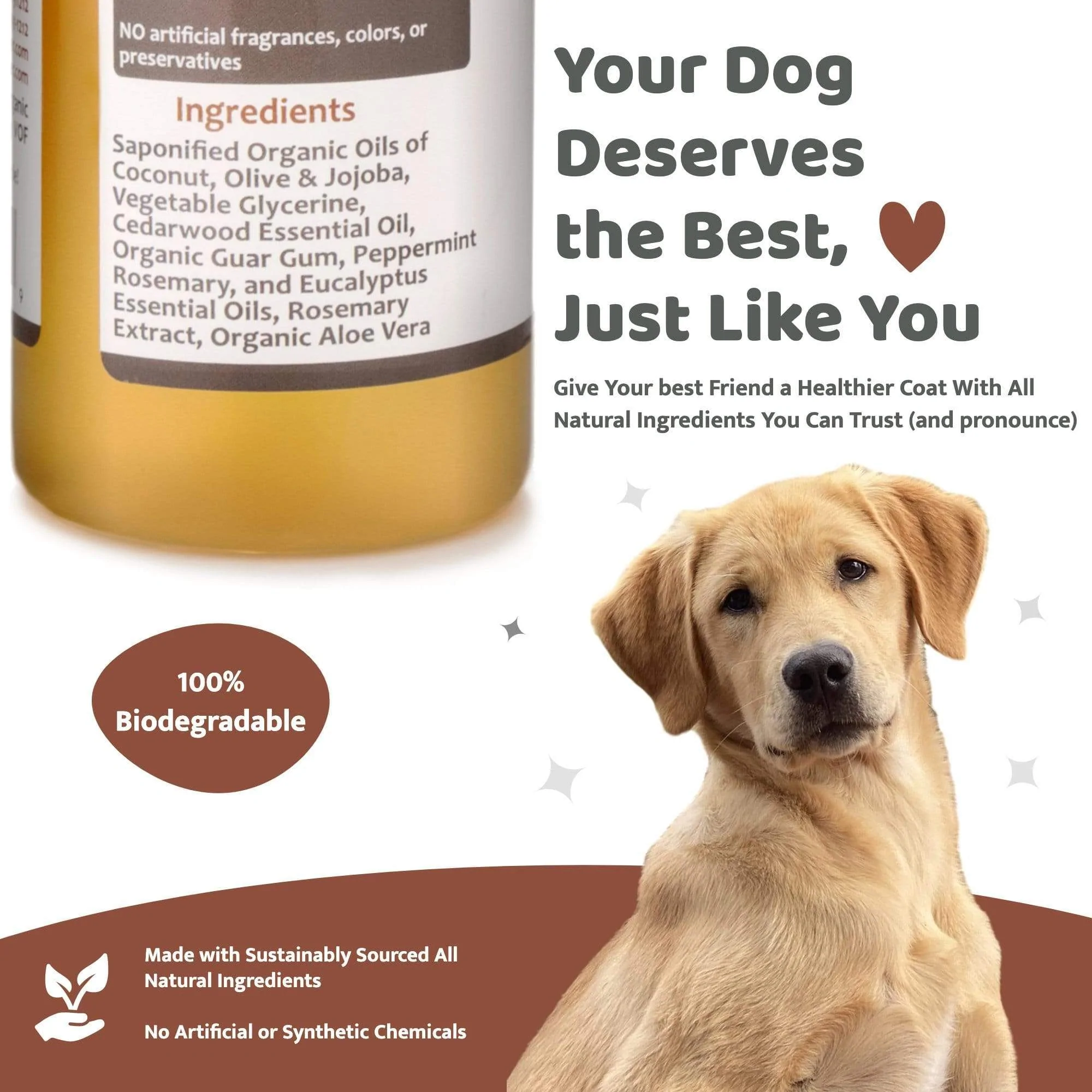 4Legger Cedar, Peppermint Organic Food Standard Shampoo (16oz) | Normal Healthy Skin & Coat Shampoo for Dogs