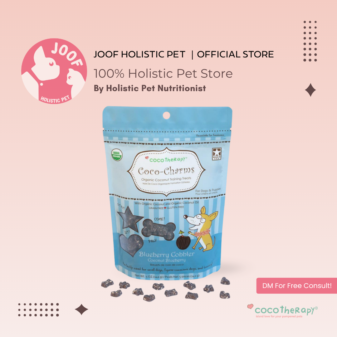 CocoTherapy Coco-Charms Vegan Coconut Training Treat Grain Free for Dogs