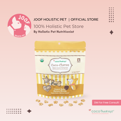 CocoTherapy Coco-Charms Vegan Coconut Training Treat Grain Free for Dogs