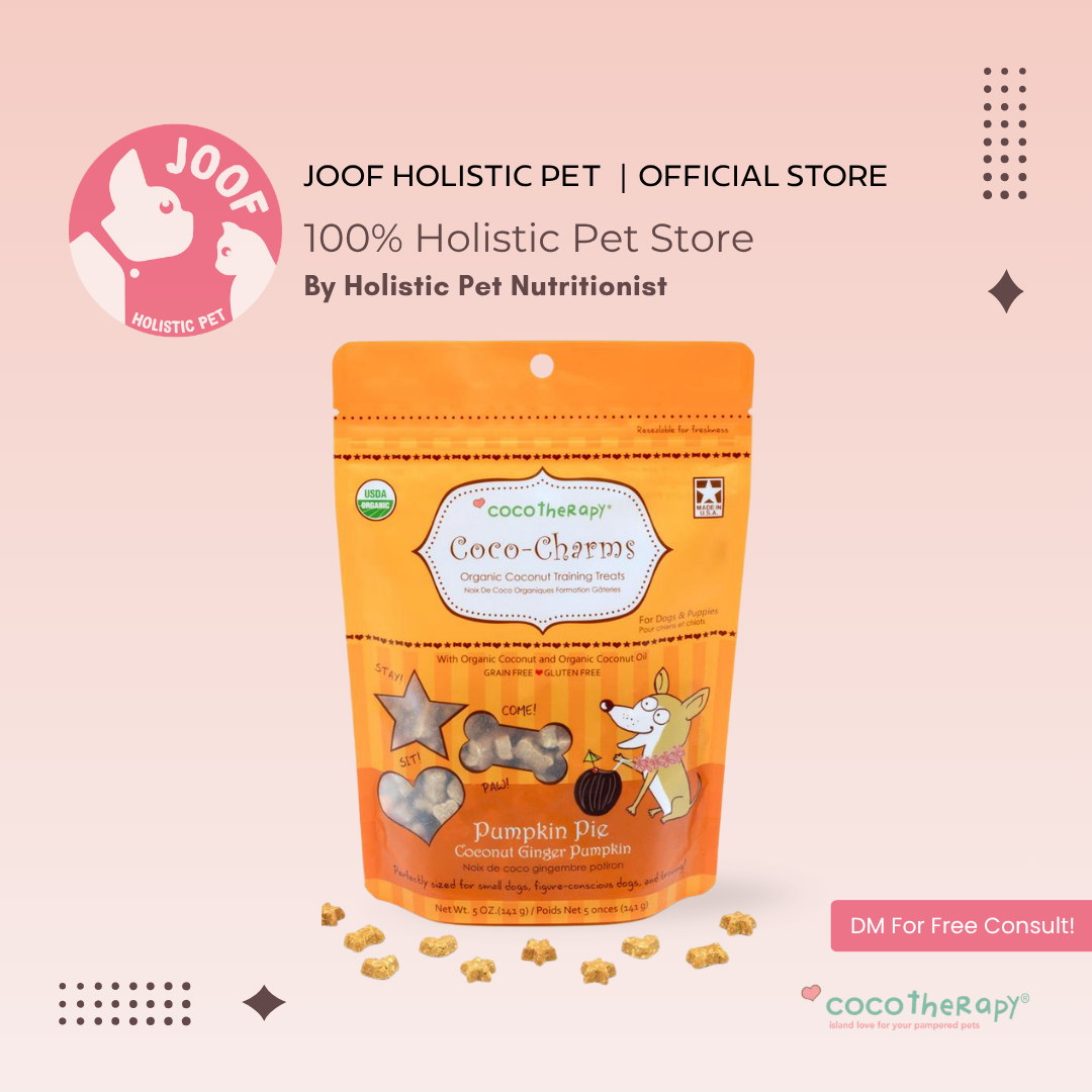 CocoTherapy Coco-Charms Vegan Coconut Training Treat Grain Free for Dogs