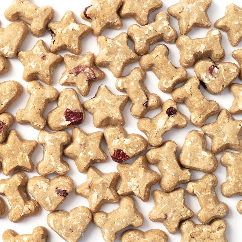 CocoTherapy Organic Coco-Charms Training Treats | Vegan Grain Gluten-Free Coconut Baked Treats For Dogs | Premium Pets Treats