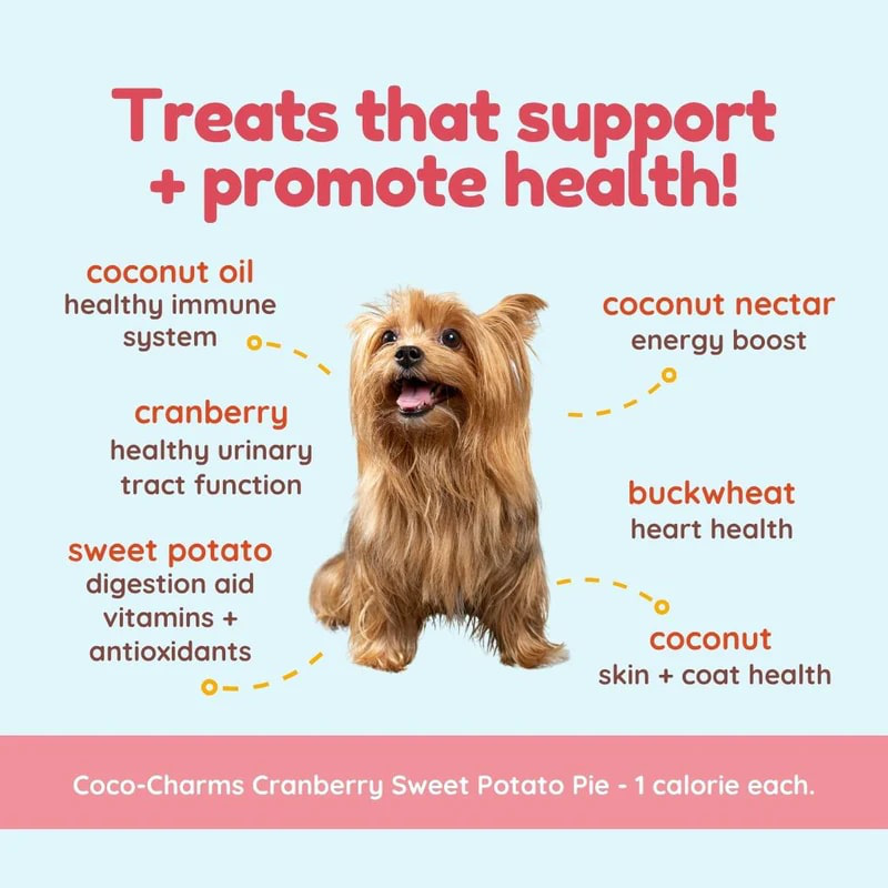 CocoTherapy Organic Coco-Charms Training Treats | Vegan Grain Gluten-Free Coconut Baked Treats For Dogs | Premium Pets Treats