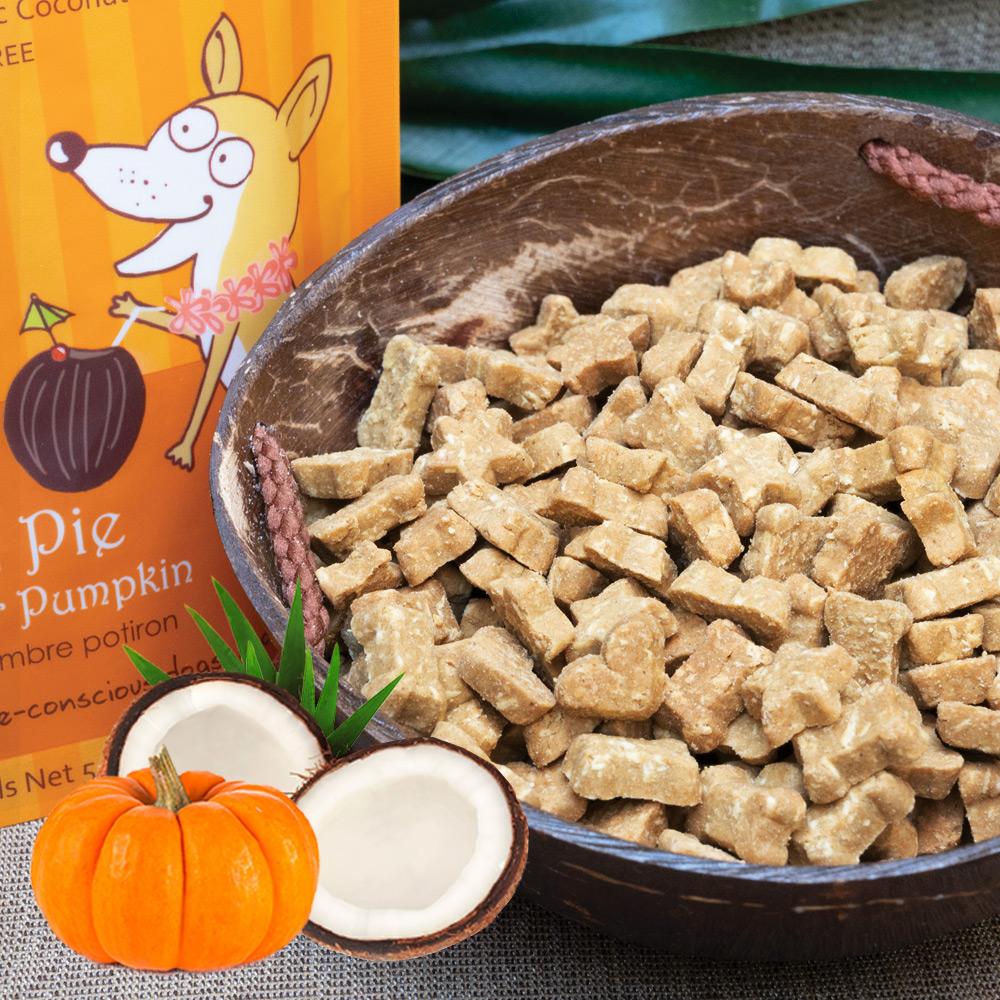 CocoTherapy Organic Coco-Charms Training Treats | Vegan Grain Gluten-Free Coconut Baked Treats For Dogs | Premium Pets Treats