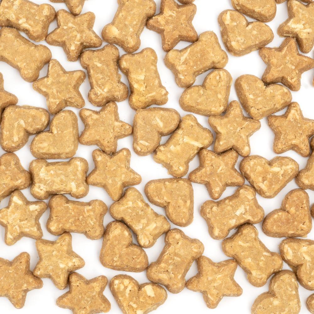 CocoTherapy Organic Coco-Charms Training Treats | Vegan Grain Gluten-Free Coconut Baked Treats For Dogs | Premium Pets Treats