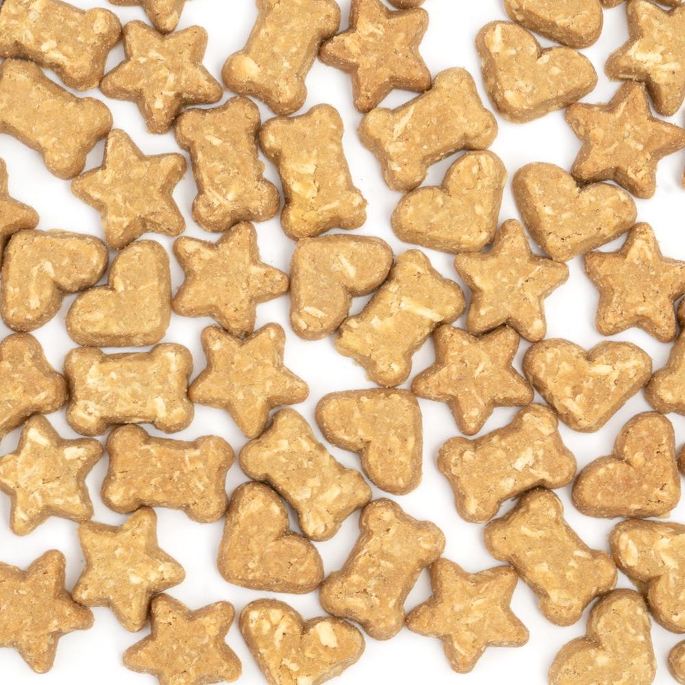 CocoTherapy Organic Coco-Charms Training Treats | Vegan Grain Gluten-Free Coconut Baked Treats For Dogs | Premium Pets Treats