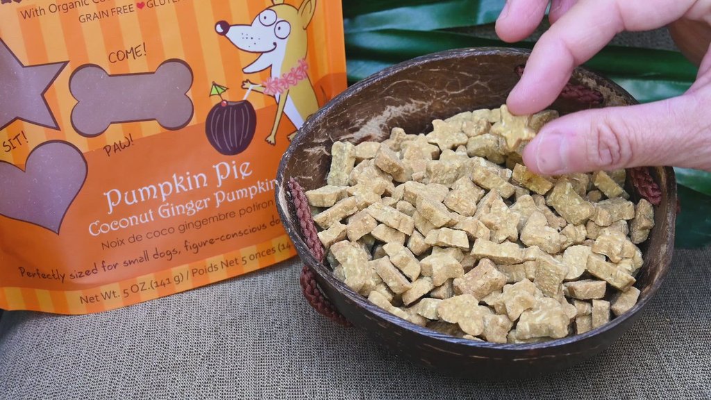 CocoTherapy Organic Coco-Charms Training Treats | Vegan Grain Gluten-Free Coconut Baked Treats For Dogs | Premium Pets Treats