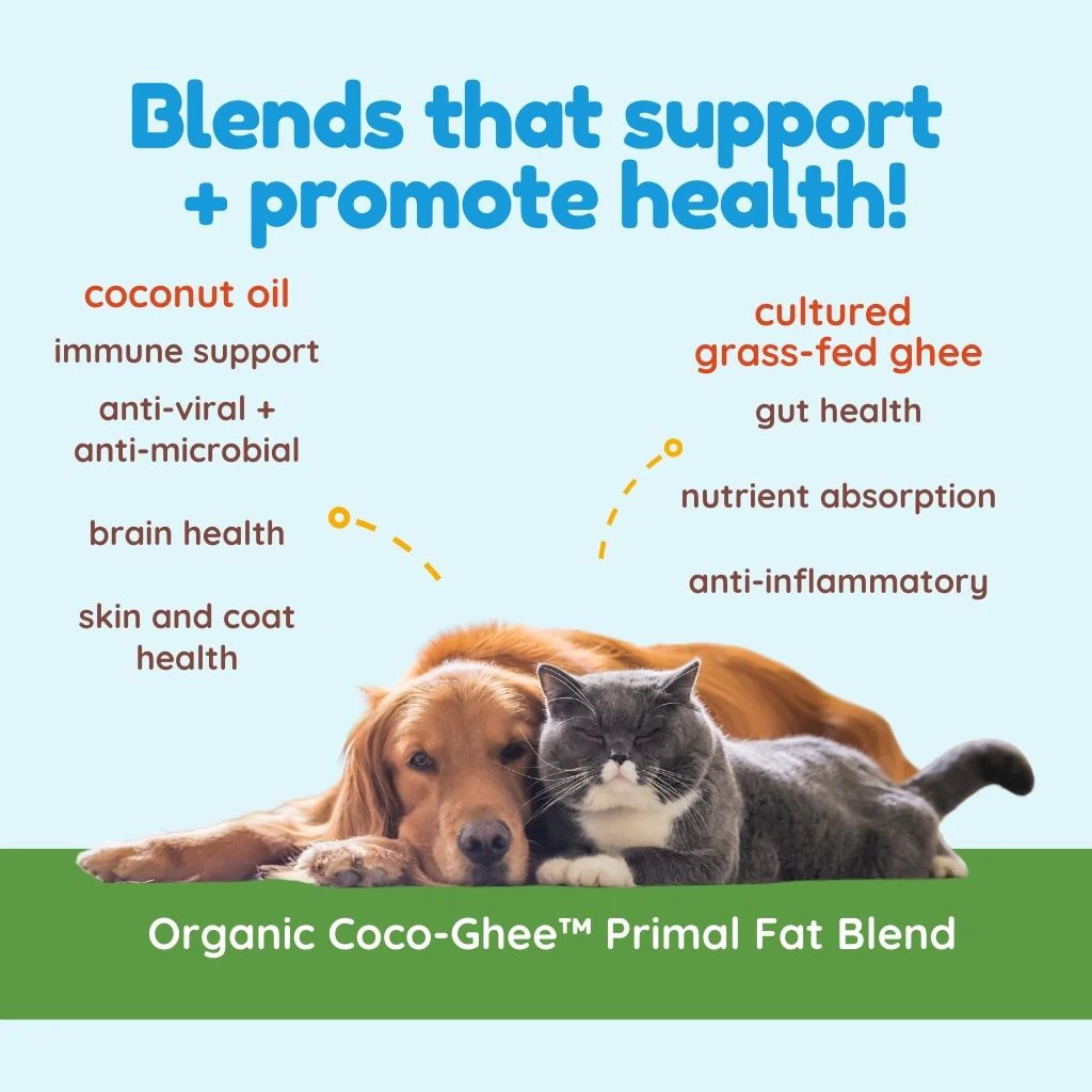 CocoTherapy Coco-Ghee Grass Fed Ghee (7.5oz) Gut Digestion Skin Constipation Support for Dogs Cats and Humans