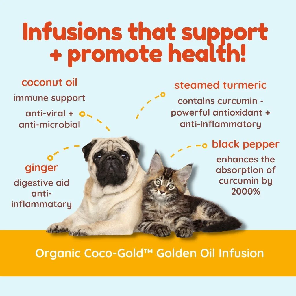 CocoTherapy Coco-Gold Turmeric Paste (7.5oz) Joint Anti Inflammatory Antioxidant Support for Dogs Cats and Humans
