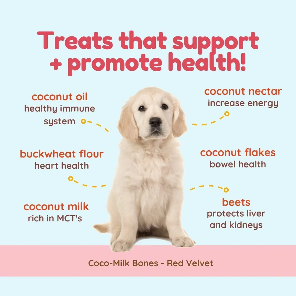 CocoTherapy Coco-Milk Bones Vegan Coconut Cookie Treat Grain Free for Dogs