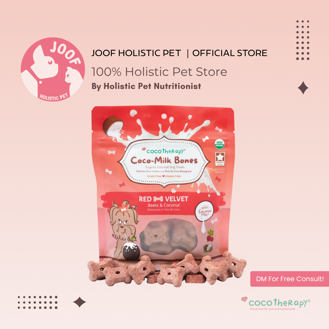 CocoTherapy Coco-Milk Bones Vegan Coconut Cookie Treat Grain Free for Dogs