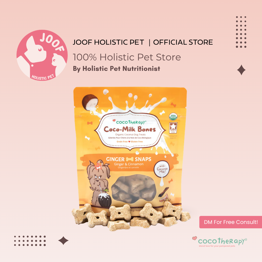 CocoTherapy Coco-Milk Bones Vegan Coconut Cookie Treat Grain Free for Dogs