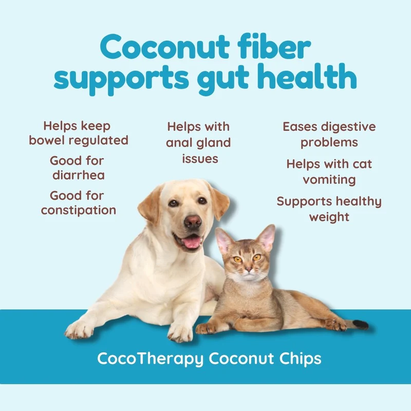 CocoTherapy Organic Coconut Chips (6oz) Fiber Digestive Constipation Support for Dogs and Cats