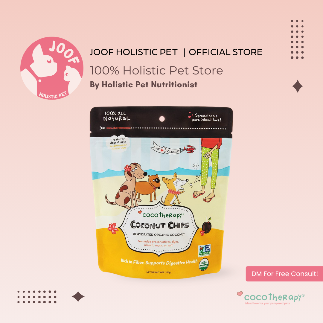 CocoTherapy Organic Coconut Chips (6oz) Fiber Digestive Constipation Support for Dogs and Cats