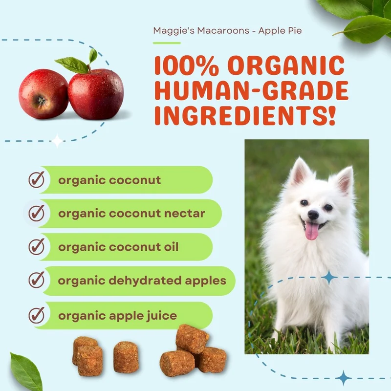 CocoTherapy Maggie’s Macaroons Vegan Coconut Soft Treat Grain Free for Dogs