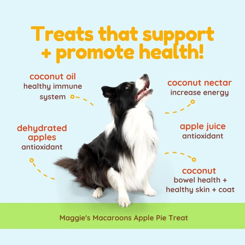 CocoTherapy Maggie’s Macaroons Vegan Coconut Soft Treat Grain Free for Dogs