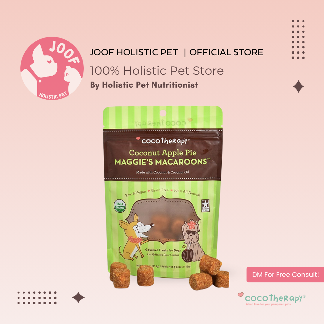 CocoTherapy Maggie’s Macaroons Vegan Coconut Soft Treat Grain Free for Dogs