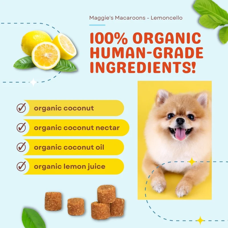 CocoTherapy Maggie’s Macaroons Vegan Coconut Soft Treat Grain Free for Dogs