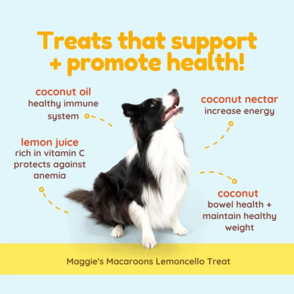 CocoTherapy Maggie’s Macaroons Vegan Coconut Soft Treat Grain Free for Dogs