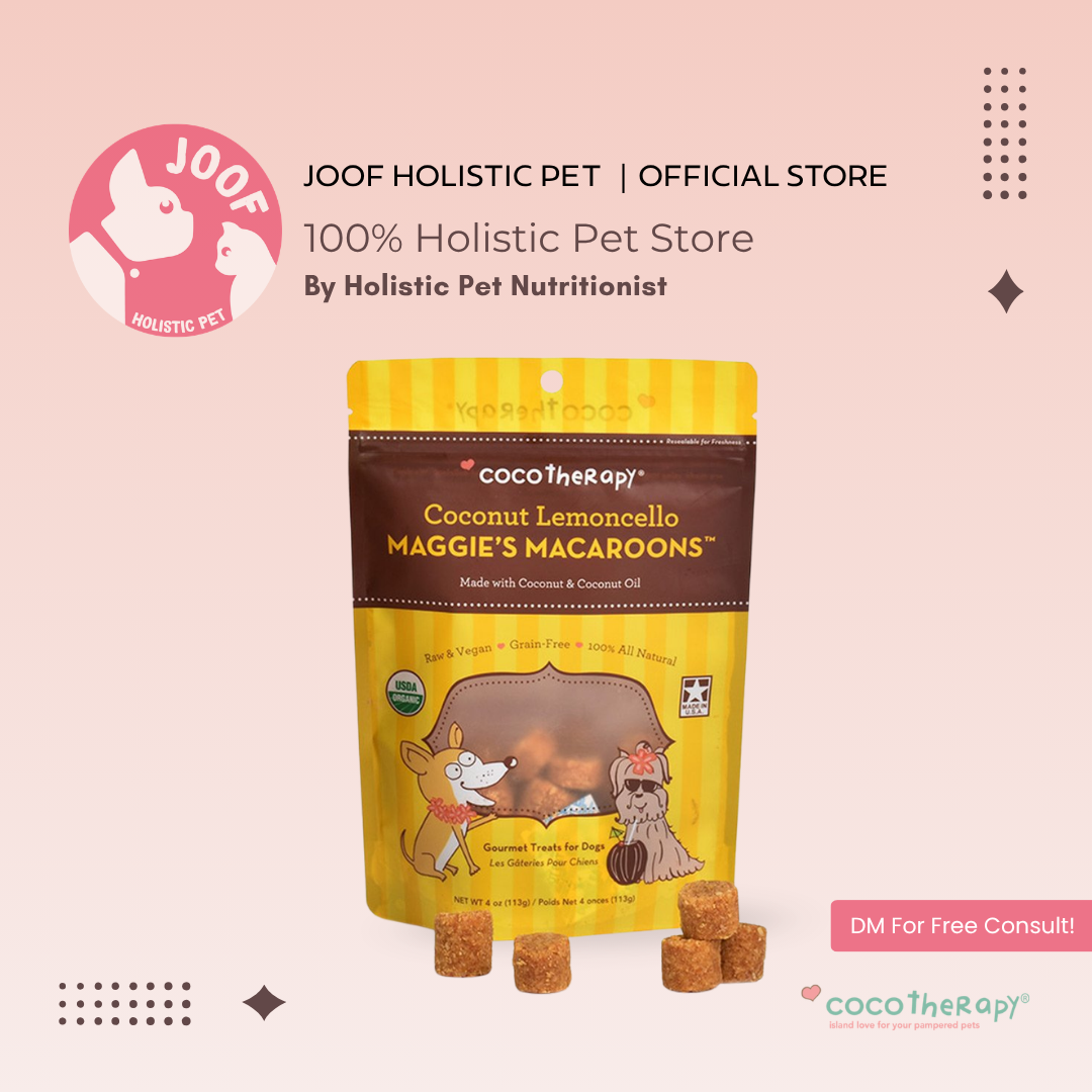 CocoTherapy Maggie’s Macaroons Vegan Coconut Soft Treat Grain Free for Dogs