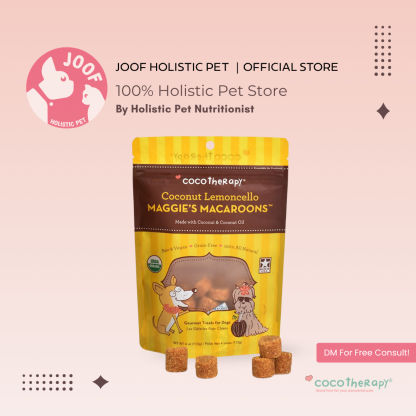 CocoTherapy Maggie’s Macaroons Vegan Coconut Soft Treat Grain Free for Dogs
