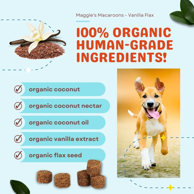 CocoTherapy Maggie’s Macaroons Vegan Coconut Soft Treat Grain Free for Dogs