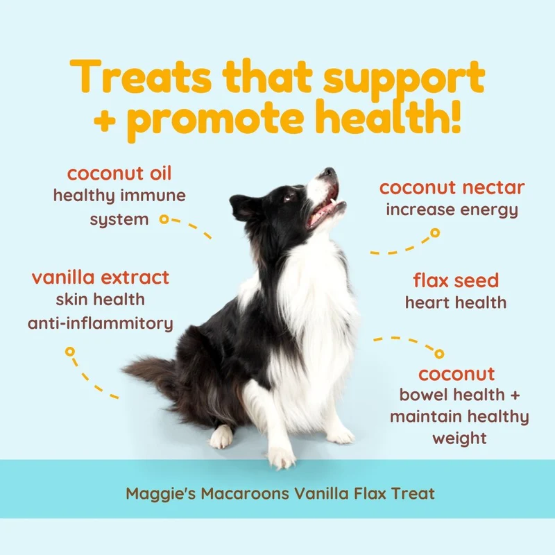 CocoTherapy Maggie’s Macaroons Vegan Coconut Soft Treat Grain Free for Dogs