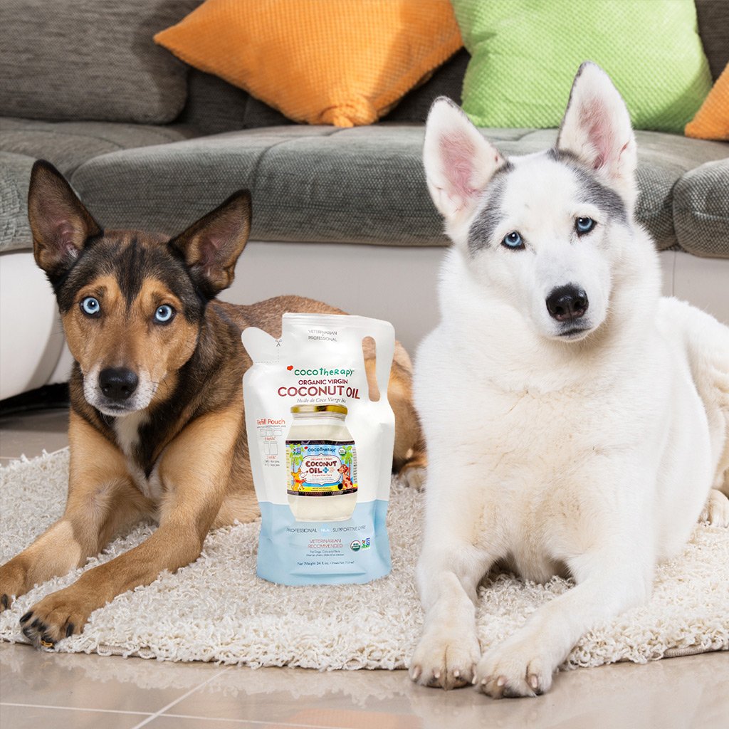 CocoTherapy Organic Therapeutic Grade Virgin Coconut Oil | Anti-Bacterial Skin Gastrointestinal Gut Support | Holistic Healthcare for Dogs, Cats and Pet Parents