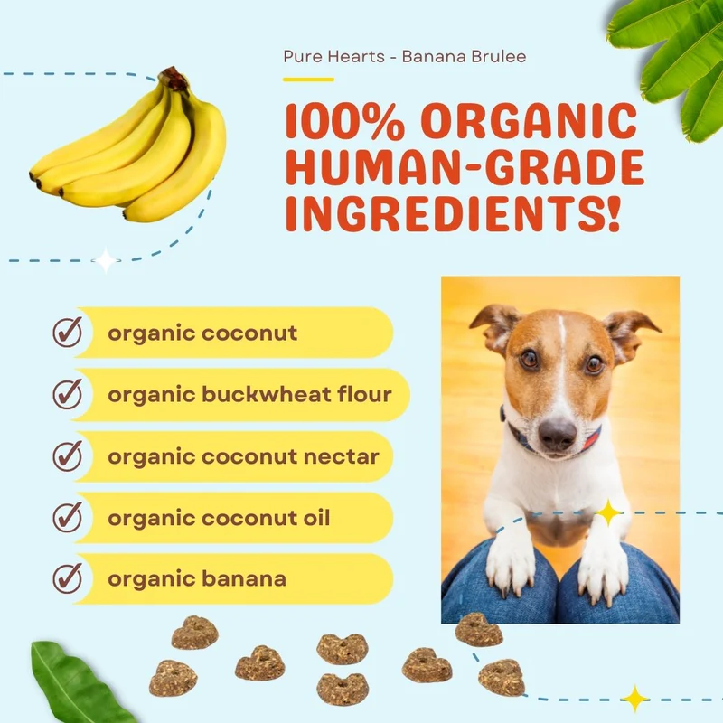 CocoTherapy Pure Hearts Vegan Coconut Cookie Treat Grain Free for Dogs