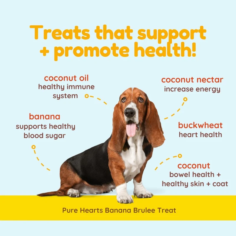 CocoTherapy Pure Hearts Vegan Coconut Cookie Treat Grain Free for Dogs