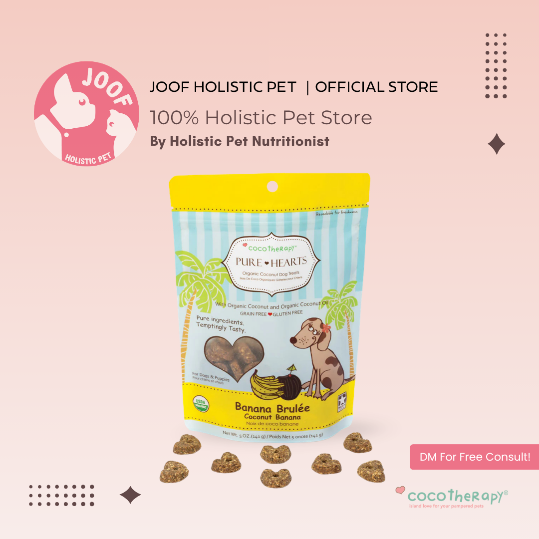 CocoTherapy Pure Hearts Vegan Coconut Cookie Treat Grain Free for Dogs