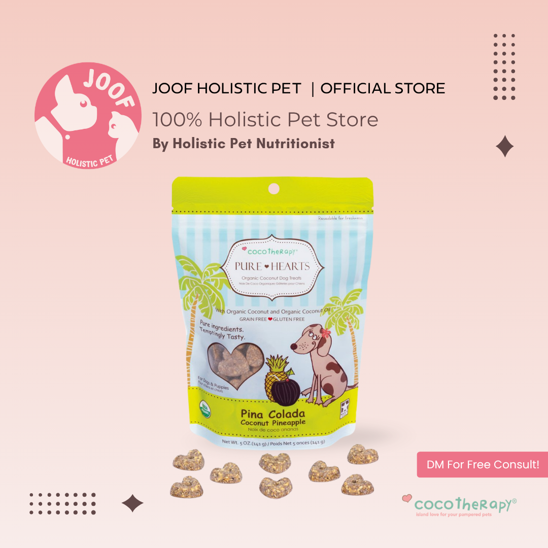 CocoTherapy Pure Hearts Vegan Coconut Cookie Treat Grain Free for Dogs