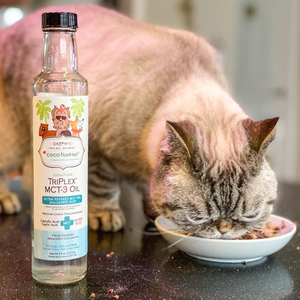 CocoTherapy 100% Pure TriPlex MCT-3 Oil | Anti-Fungal Ketones Weight Brain Support | Holistic Healthcare for Dogs, Cats and Pet Parents