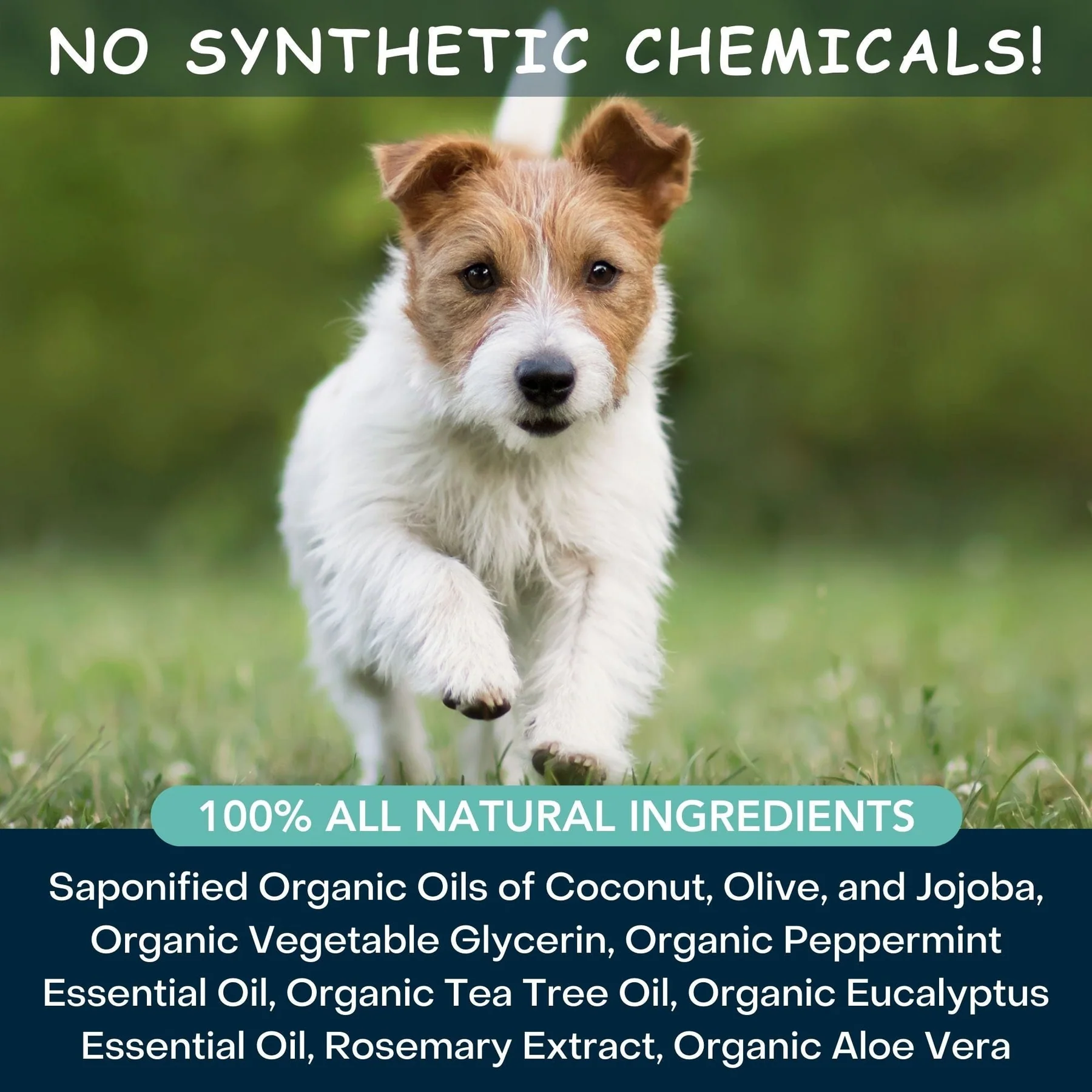 4Legger Cooling, Tea Tree USDA Certified Organic Shampoo (8oz) | Yeast & Bacteria Skin Shampoo for Dogs