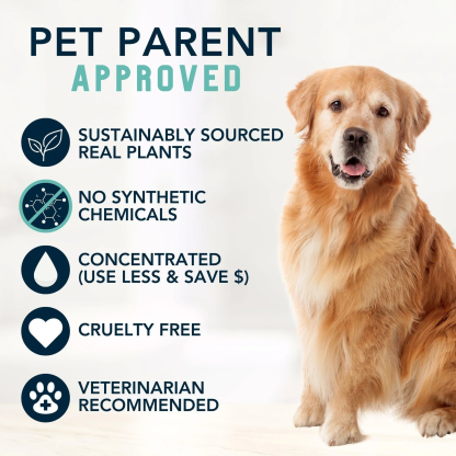 4Legger Cooling, Tea Tree USDA Certified Organic Shampoo (8oz) | Yeast & Bacteria Skin Shampoo for Dogs