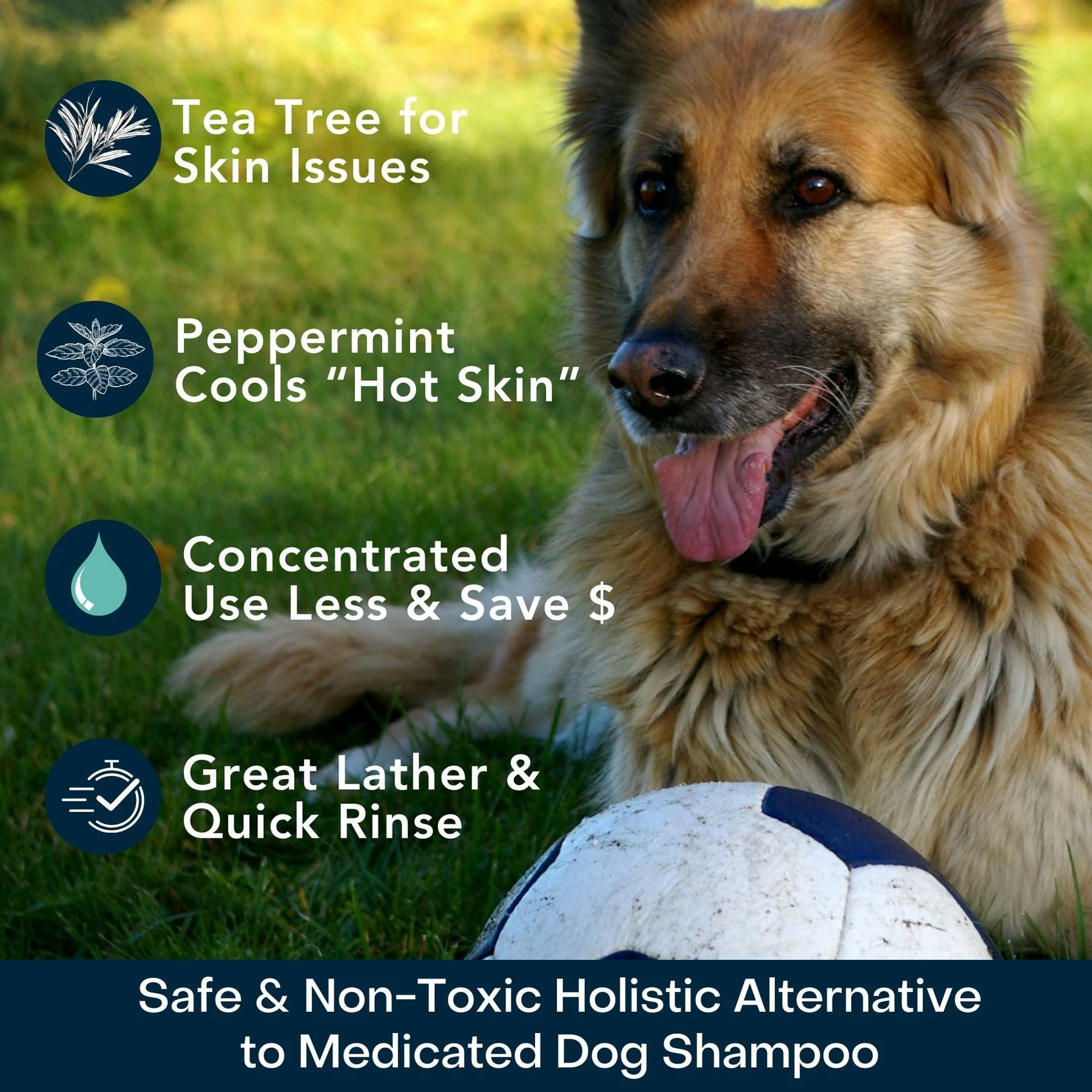 4Legger Cooling, Tea Tree USDA Certified Organic Shampoo (8oz) | Yeast & Bacteria Skin Shampoo for Dogs