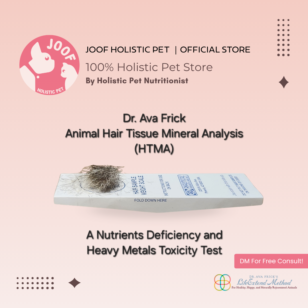 Dr. Ava Frick Animal HTMA Test | Nutrients Deficiency and Heavy Metal Toxicity Test | Holistic Healthcare for Dogs & Cats