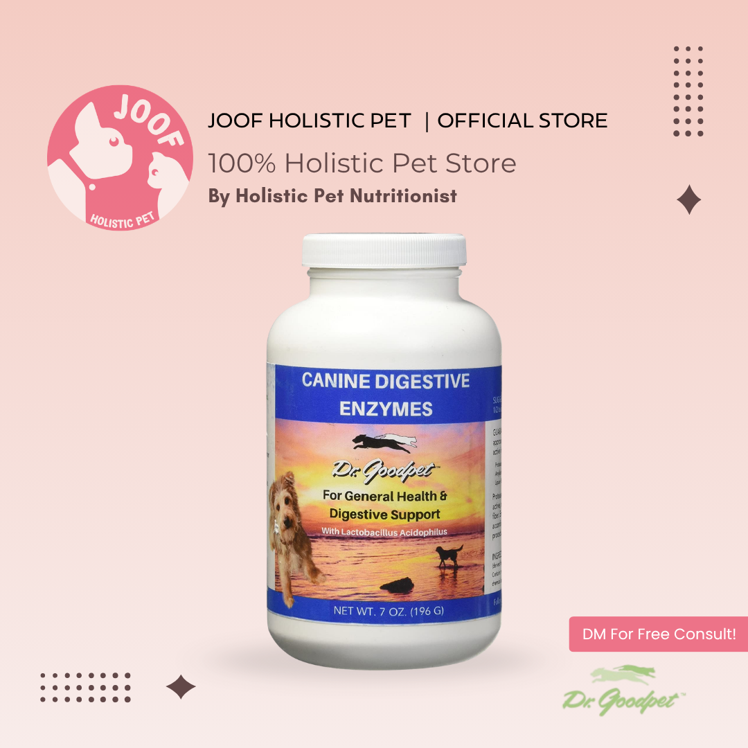 Dr Goodpet Canine Digestive Enzymes (7oz) Digestive Support Sensitive Stomach Support for Dogs