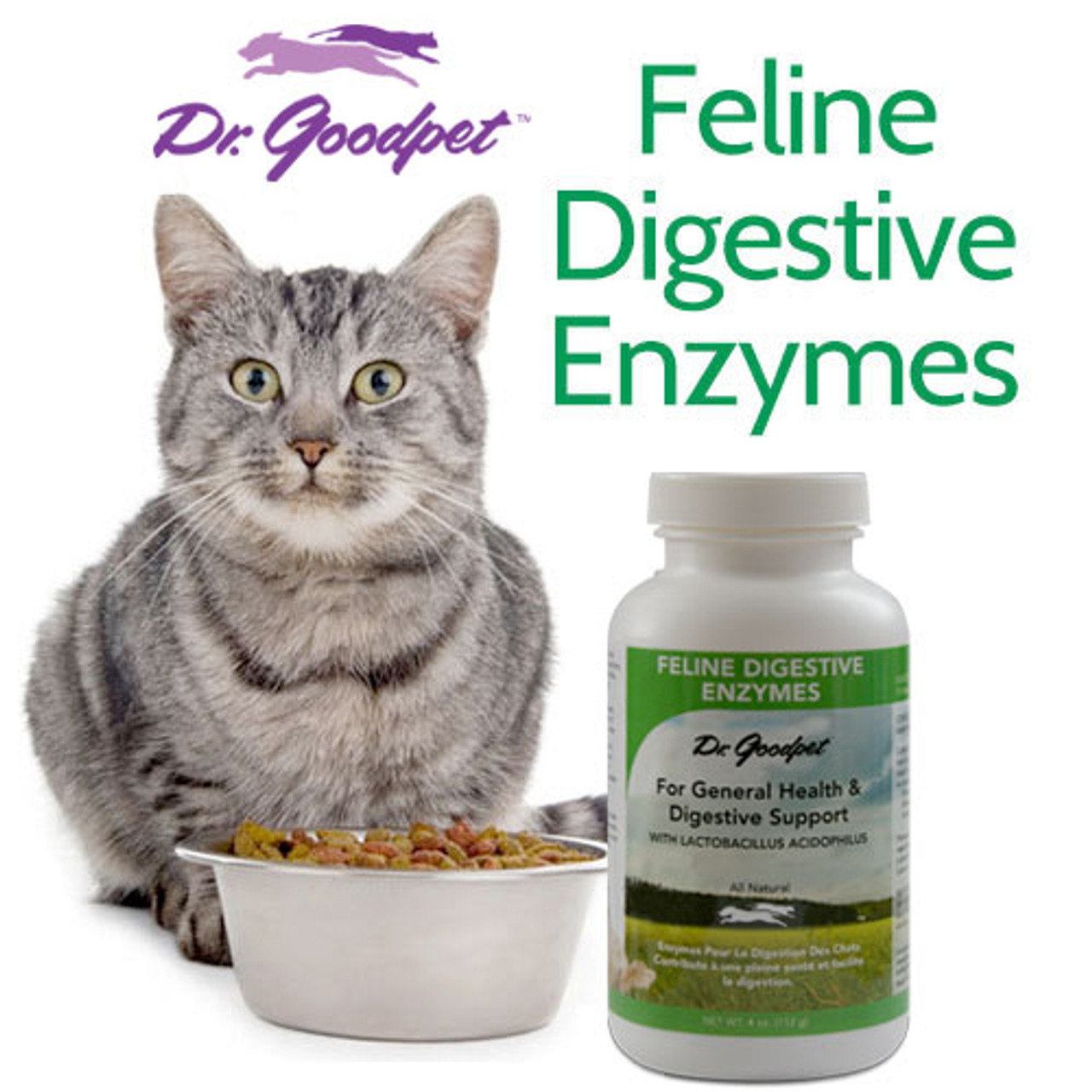 Dr Goodpet Feline Digestive Enzymes (4oz) Digestive Support Sensitive Stomach Support for Cats