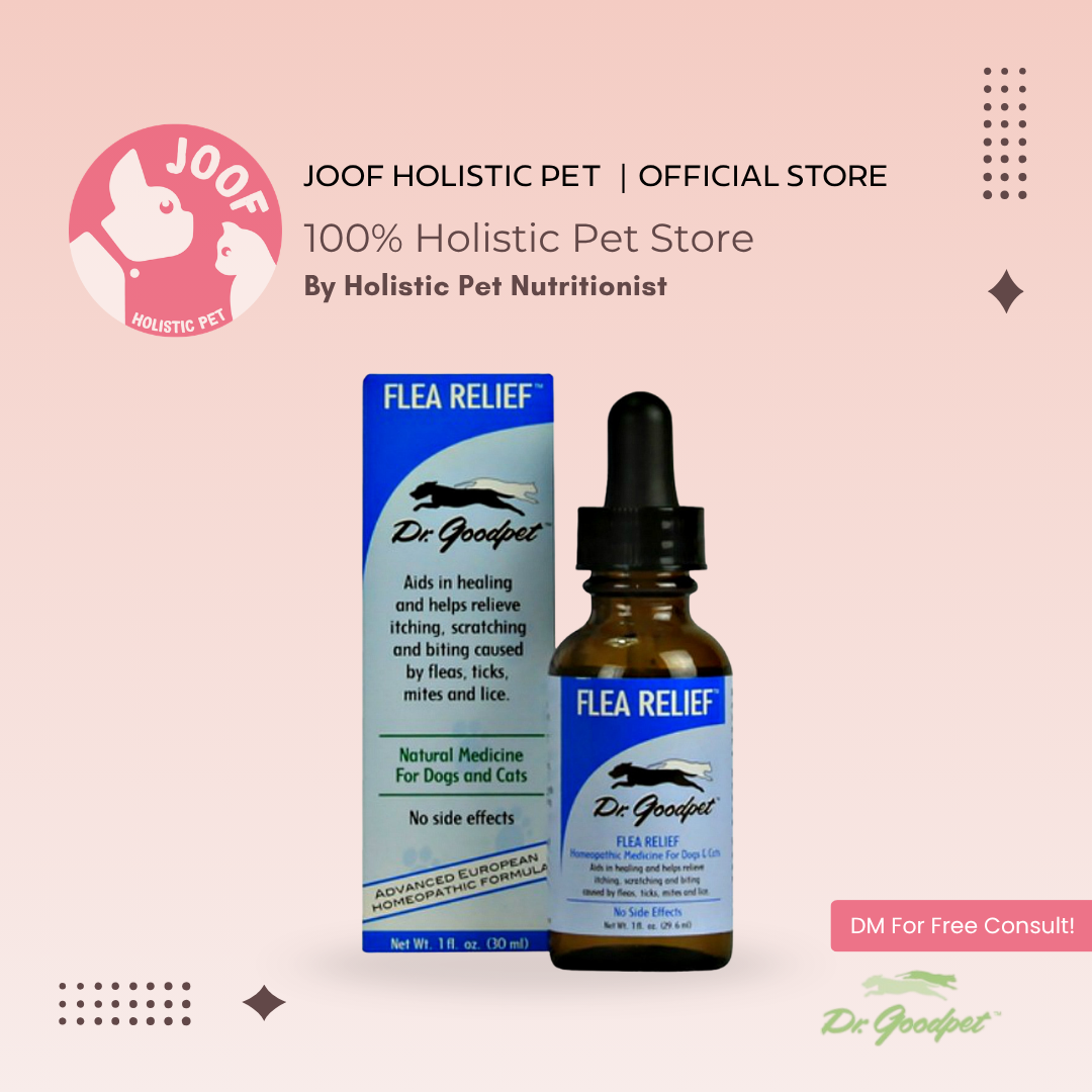 Dr Goodpet Flea Relief (1oz) Natural Flea Tick Mite Itch Support for Dogs and Cats