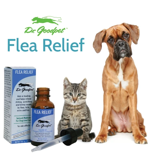 Dr Goodpet Flea Relief (1oz) Natural Flea Tick Mite Itch Support for Dogs and Cats