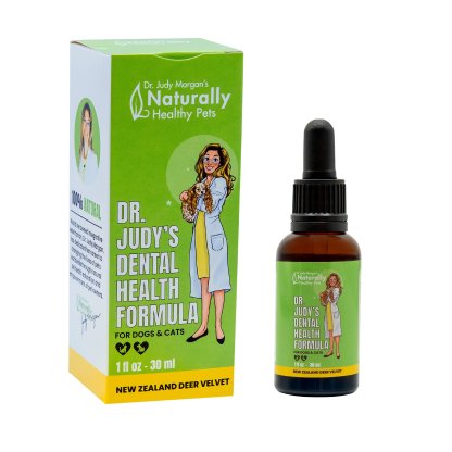 Dr Judy Morgan Dental Health Formula | Oral Health Support | Holistic Healthcare for Dogs & Cats
